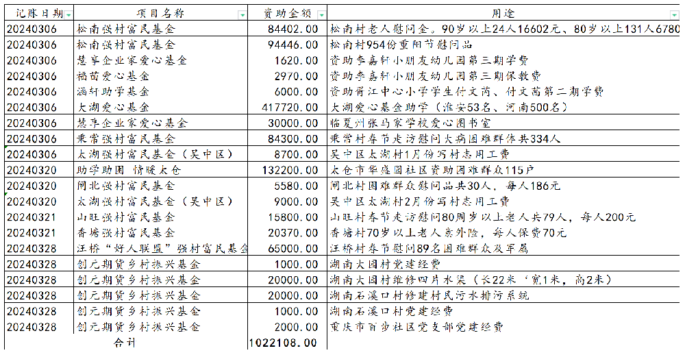 2024年3月份捐赠支出公示_SheetJS.png